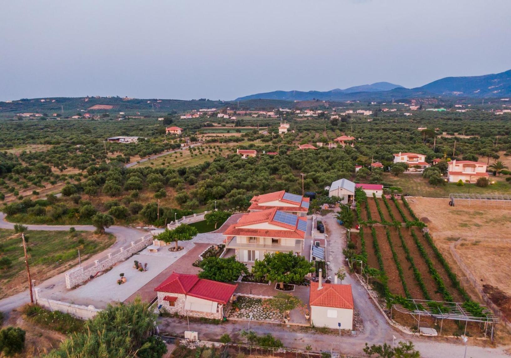 Terra Helios Suites & Studios Кипарисия Экстерьер фото